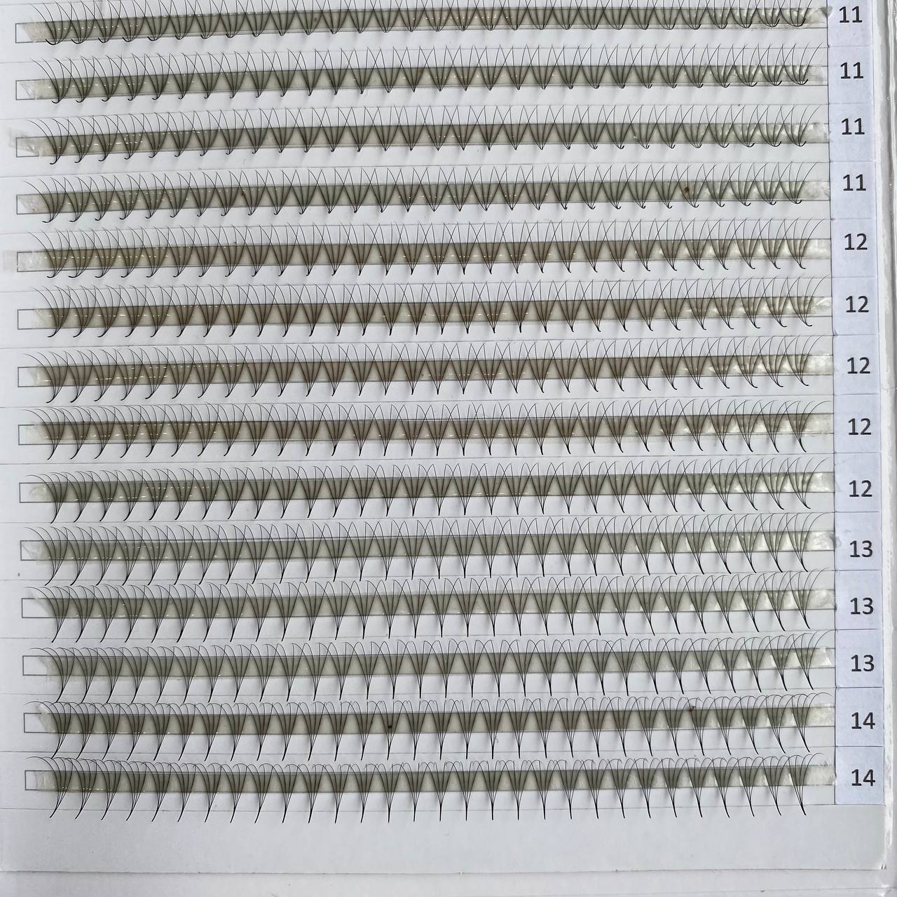 Premade Fan XL Tray 20 Lines 4D